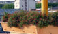 giardinieri VerdeMaVerde - progettazione terrazzi e impianti di irrigazione per balconi