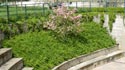 giardinieri verdemavere milano: la soluzione ideale anche il verde pubblico